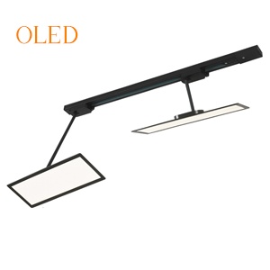 OLED 灯