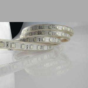  RGB 220V SMD Strip Light	