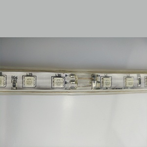  RGB 220V SMD Strip Light	