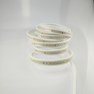  220V SMD Strip light	