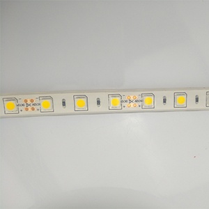  SMD 5050 IP68	